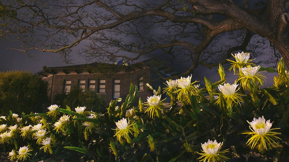 image+from-+http-stevendn.smugmug